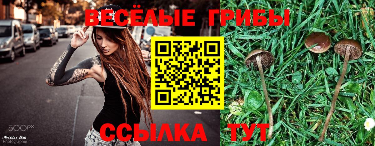 Псилоцибиновые грибы Cubensis Златоуст